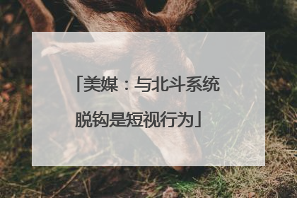 美媒：与北斗系统脱钩是短视行为
