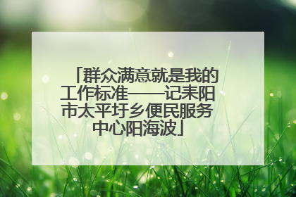 群众满意就是我的工作标准——记耒阳市太平圩乡便民服务中心阳海波
