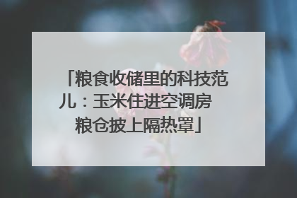 粮食收储里的科技范儿：玉米住进空调房 粮仓披上隔热罩