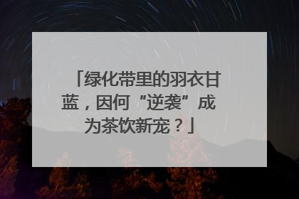 绿化带里的羽衣甘蓝，因何“逆袭”成为茶饮新宠？