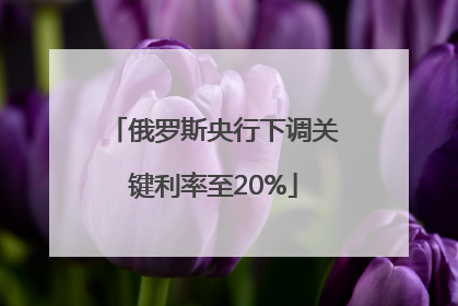俄罗斯央行下调关键利率至20%