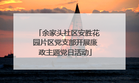 余家头社区安胜花园片区党支部开展廉政主题党日活动