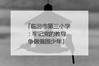 临汾市第三小学：牢记党的教导 争做强国少年