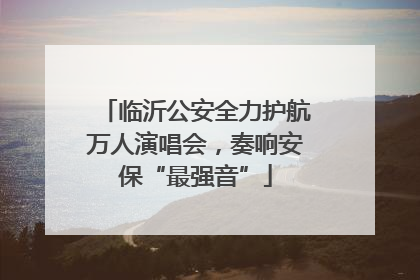 临沂公安全力护航万人演唱会，奏响安保“最强音”