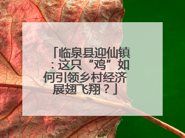 临泉县迎仙镇：这只“鸡”如何引领乡村经济展翅飞翔？