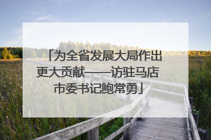 为全省发展大局作出更大贡献——访驻马店市委书记鲍常勇