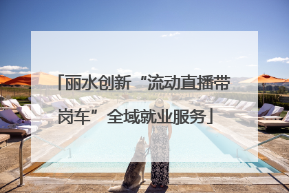 丽水创新“流动直播带岗车”全域就业服务