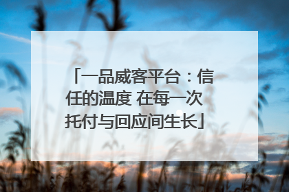 一品威客平台：信任的温度 在每一次托付与回应间生长