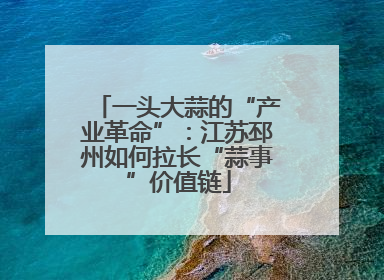 一头大蒜的“产业革命”：江苏邳州如何拉长“蒜事”价值链