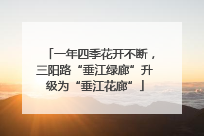 一年四季花开不断，三阳路“垂江绿廊”升级为“垂江花廊”