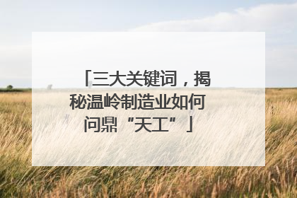 三大关键词，揭秘温岭制造业如何问鼎“天工”