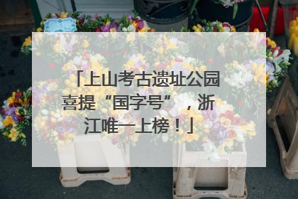 上山考古遗址公园喜提“国字号”，浙江唯一上榜！
