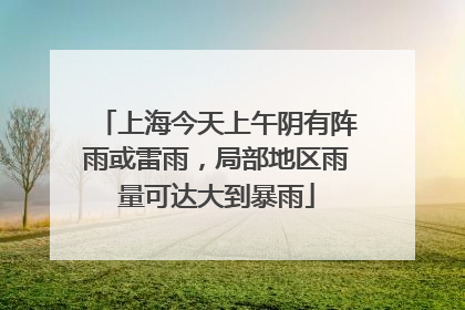 上海今天上午阴有阵雨或雷雨，局部地区雨量可达大到暴雨