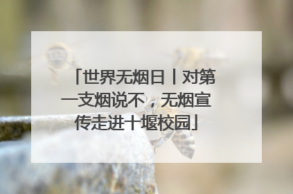 世界无烟日丨对第一支烟说不，无烟宣传走进十堰校园