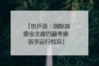 世乒赛：国际奥委会主席巴赫考察赛事运行情况