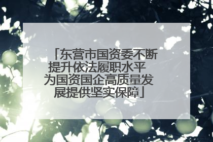 东营市国资委不断提升依法履职水平 为国资国企高质量发展提供坚实保障