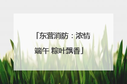 东营消防：浓情端午 粽叶飘香