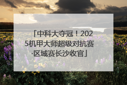 中科大夺冠！2025机甲大师超级对抗赛·区域赛长沙收官