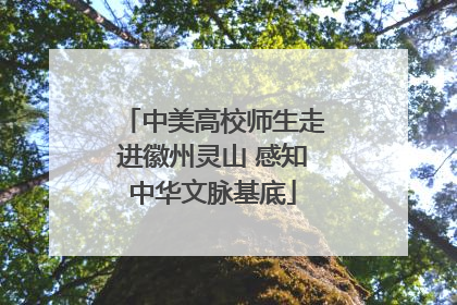 中美高校师生走进徽州灵山 感知中华文脉基底