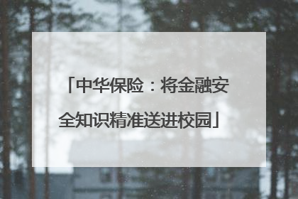 中华保险：将金融安全知识精准送进校园