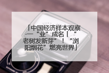 中国经济样本观察·一“业”成名丨“老树发新芽”！“浏阳烟花”燃亮世界
