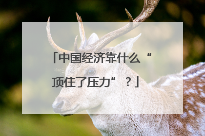 中国经济靠什么“顶住了压力”？