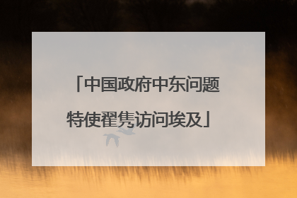 中国政府中东问题特使翟隽访问埃及