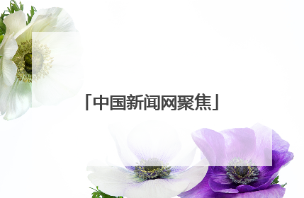 中国新闻网聚焦