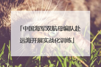 中国海军双航母编队赴远海开展实战化训练