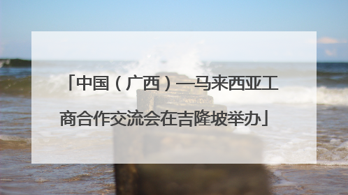 中国（广西）—马来西亚工商合作交流会在吉隆坡举办
