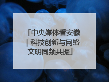 中央媒体看安徽｜科技创新与网络文明同频共振