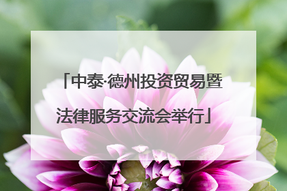 中泰·德州投资贸易暨法律服务交流会举行