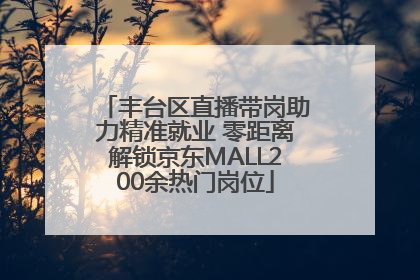 丰台区直播带岗助力精准就业 零距离解锁京东MALL200余热门岗位