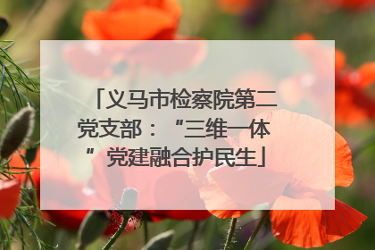 义马市检察院第二党支部：“三维一体”党建融合护民生