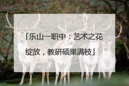 乐山一职中：艺术之花绽放，教研硕果满枝
