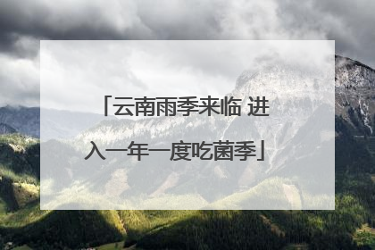 云南雨季来临 进入一年一度吃菌季