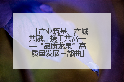 产业筑基、产城共融、携手共富——“品质龙泉”高质量发展三部曲