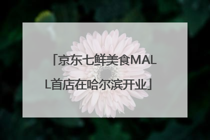 京东七鲜美食MALL首店在哈尔滨开业