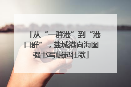 从“一群港”到“港口群”，盐城港向海图强书写崛起壮歌