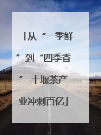 从“一季鲜”到“四季香” 十堰茶产业冲刺百亿