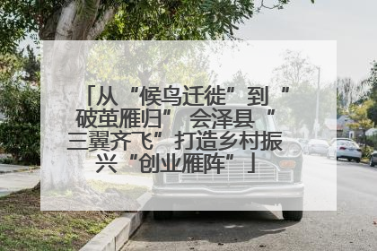 从“候鸟迁徙”到“破茧雁归” 会泽县“三翼齐飞”打造乡村振兴“创业雁阵”