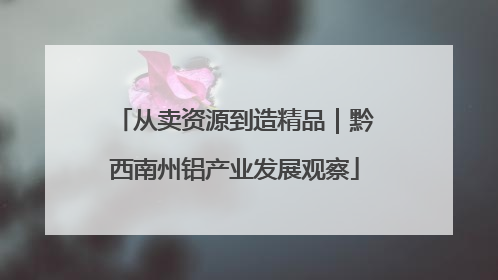 从卖资源到造精品｜黔西南州铝产业发展观察
