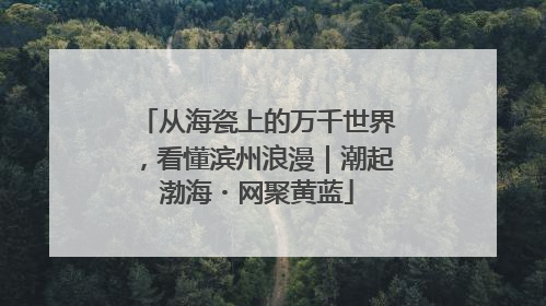 从海瓷上的万千世界，看懂滨州浪漫｜潮起渤海・网聚黄蓝