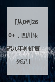 从0到260+，四川朱鹮九年种群复兴记