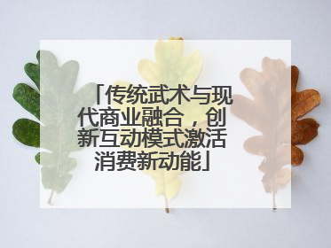 传统武术与现代商业融合，创新互动模式激活消费新动能