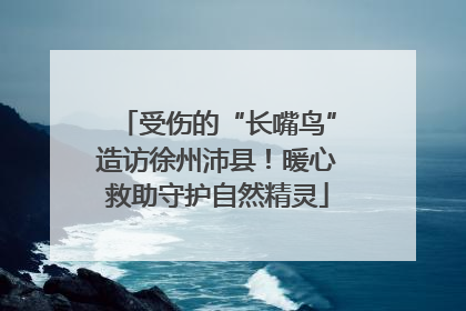 受伤的“长嘴鸟”造访徐州沛县！暖心救助守护自然精灵