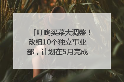 叮咚买菜大调整！改组10个独立事业部，计划在5月完成App端全面改版