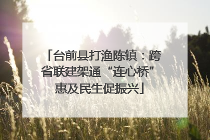 台前县打渔陈镇：跨省联建架通“连心桥” 惠及民生促振兴