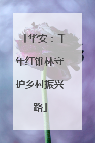 华安：千年红锥林守护乡村振兴路
