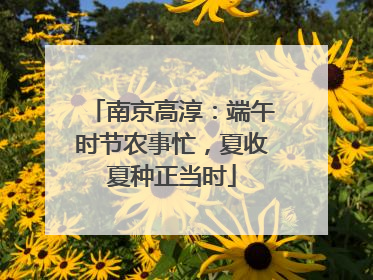 南京高淳：端午时节农事忙，夏收夏种正当时